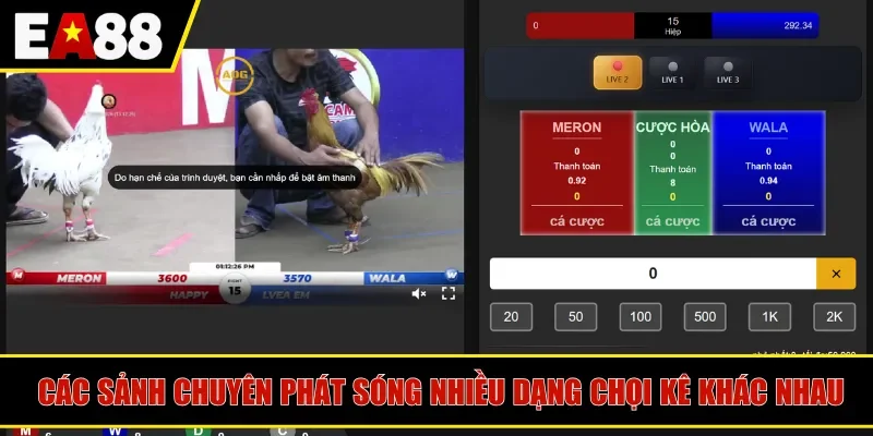 Các sảnh chuyên phát sóng nhiều dạng chọi kê khác nhau