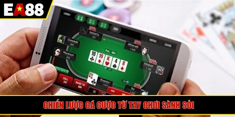 Chiến lược cá cược từ tay chơi sành sỏi