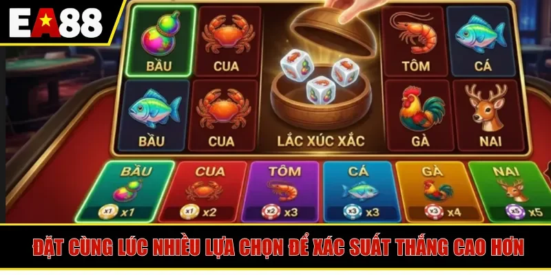 Đặt cùng lúc nhiều lựa chọn để xác suất thắng cao hơn