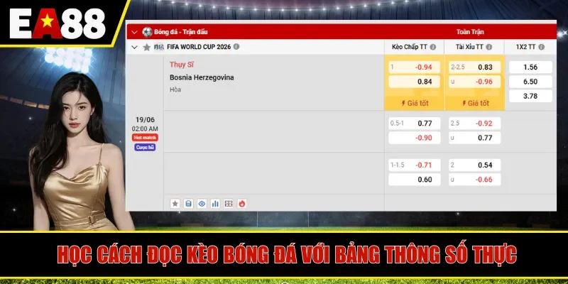 Học cách đọc kèo bóng đá với bảng thông số thực