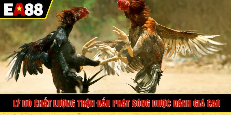 Lý do chất lượng trận đấu phát sóng được đánh giá cao